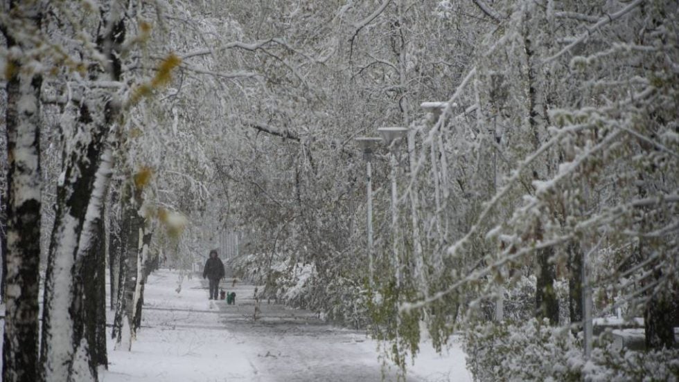 Χιονόπτωση ρεκόρ για τέλη Απριλίου στη Μόσχα - Πώς την εξηγούν οι μετεωρολόγοι [εικόνες - βίντεο]